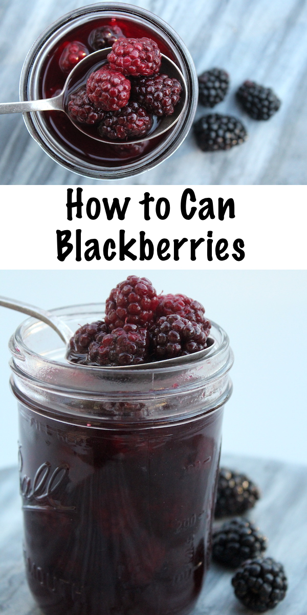 How to Can Blackberries ~ Canning Blackberries at Home #blackberries #canning #foodpreservation #recipes #homesteading #foraging #wildedibles 