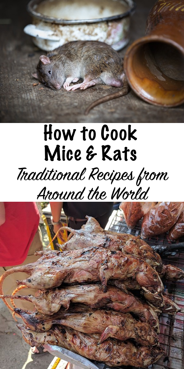 How to Cook Mice & Rats ~ Traditional Recipes From Around the World #mice #rats #recipes #traditionalfoods #preparedness #prepper #survivalist #selfreliant #shtf
