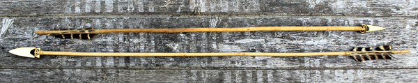 Primitive Arrows