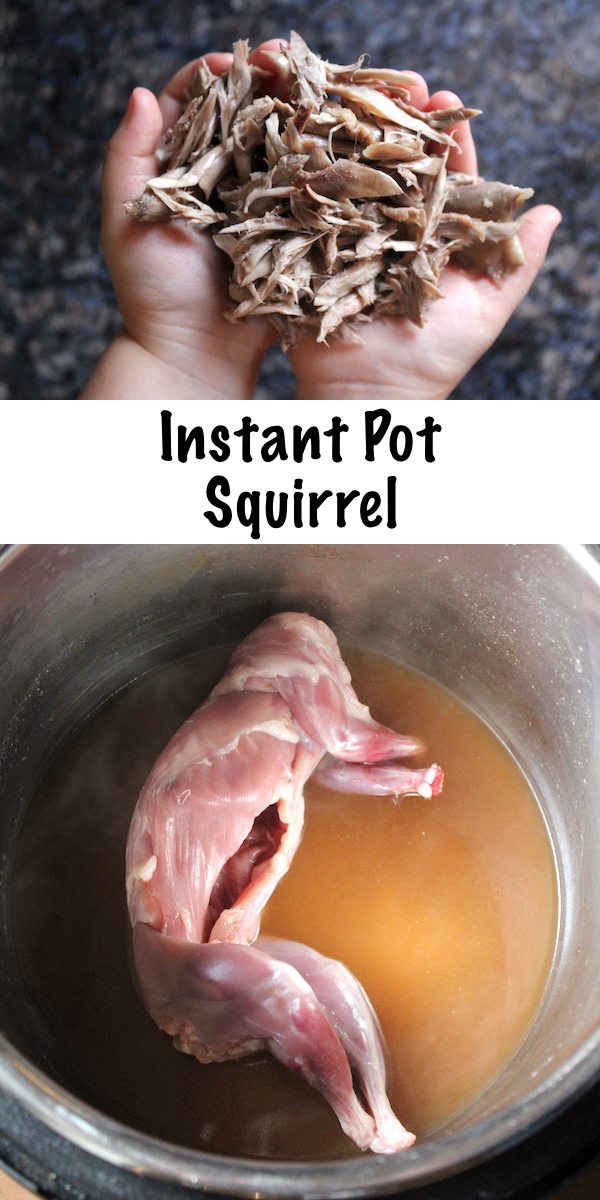Instant Pot Squirrel ~ Tender Wild Game Meat in a Pressure Cooker #squirrel #recipe #howtocook #instantpot #pressurecooker #wildgame #hunting #survivalist #prepper #homesteading