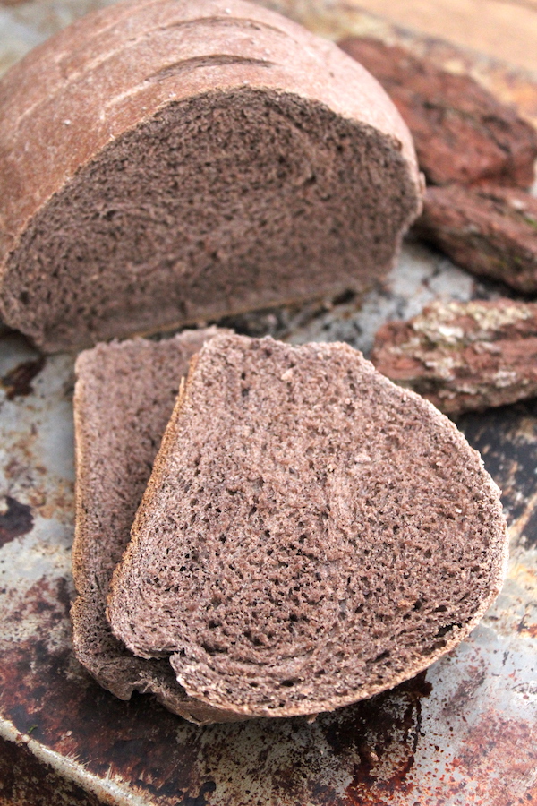 Wild Foraged Pine Bark Bread made with Pine Bark Flour