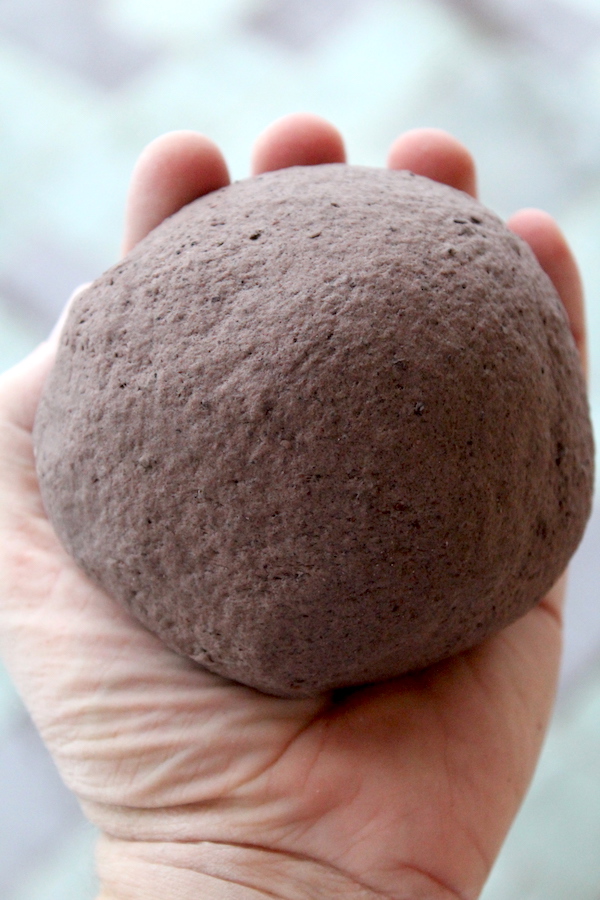 Pine Bark Bread Dough