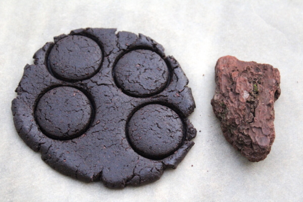 Pine Bark Cookie Dough