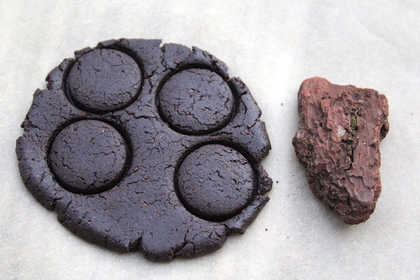 Pine Bark Cookie Dough