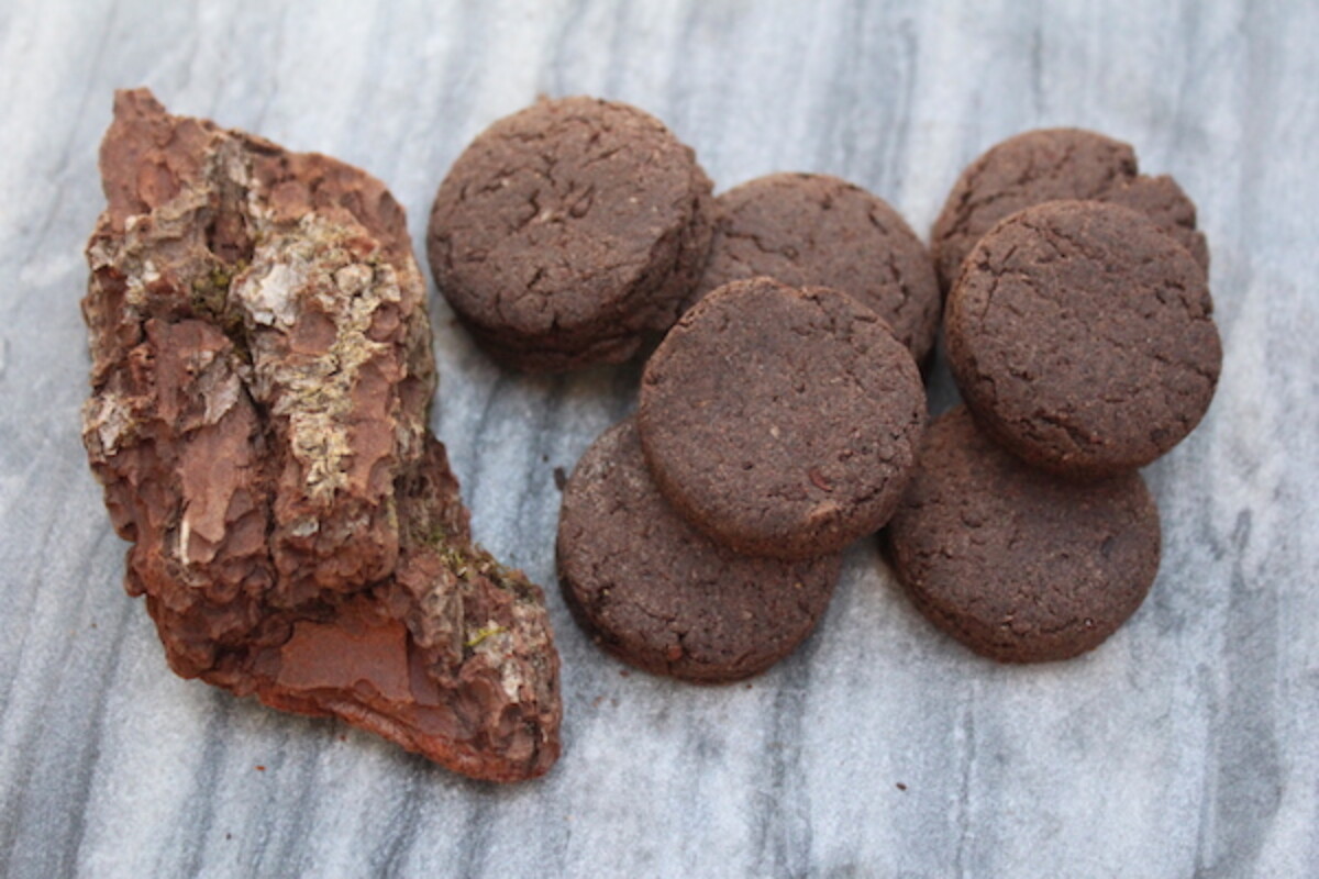 Wild Foraged Pine Bark Cookies
