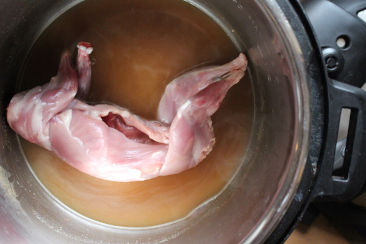 Pressure Cooker Squirrel ~ Small Game Meat in the Instant Pot