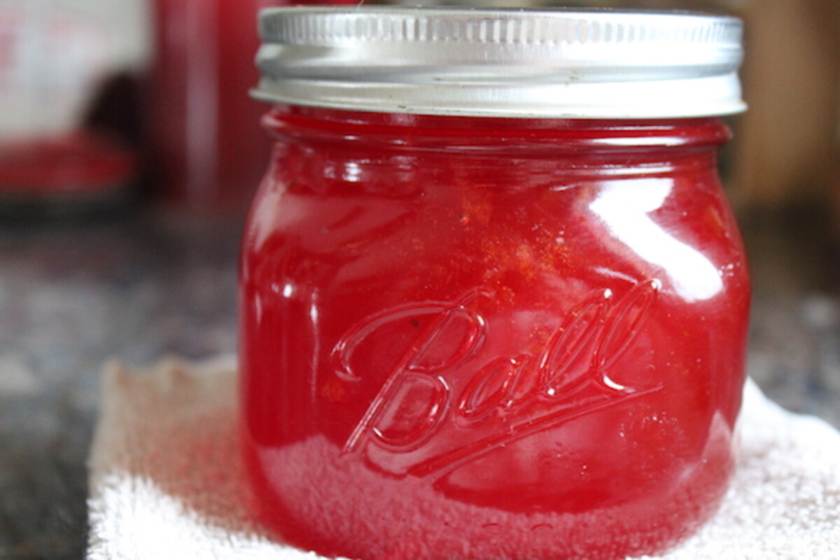 Canning Prickly Pear Jelly