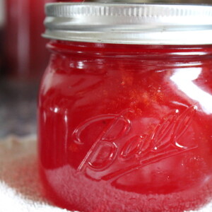 Canning Prickly Pear Jelly
