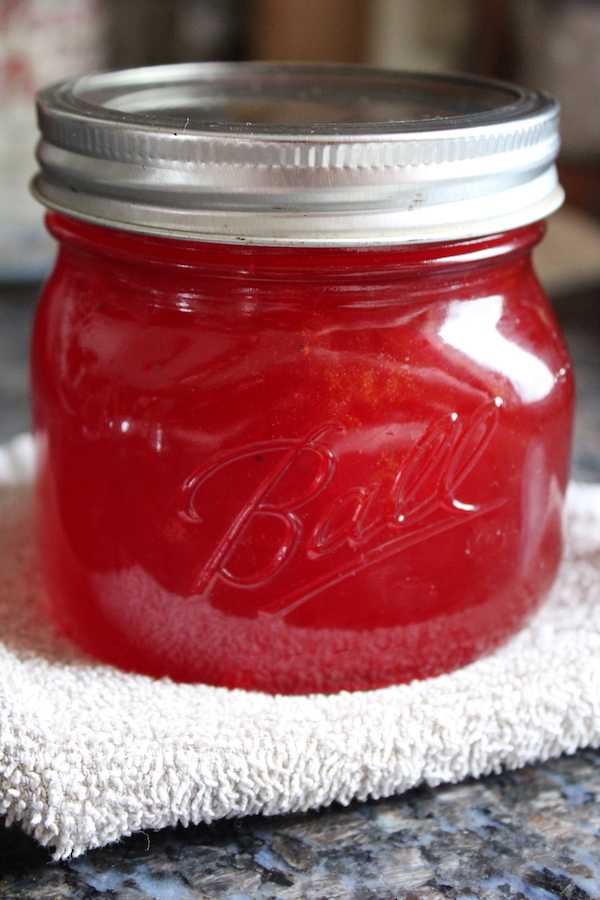 Prickly Pear Jelly Recipe