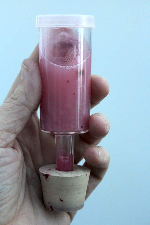 Water Lock from Blackberry Wine