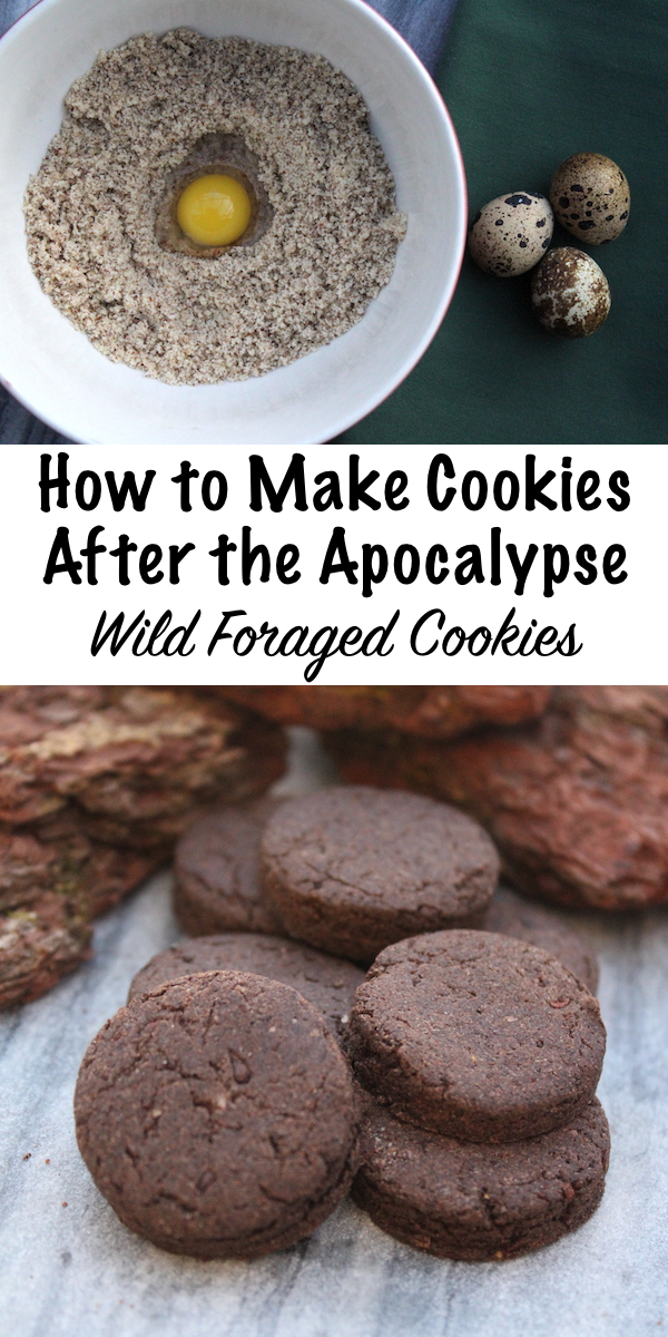 How to Make Cookies After the Apocalypse ~ Wild Foraged Cookie Recipes #foraged #cookie #recipe #survival #selfsufficiency #prepper #shtf
