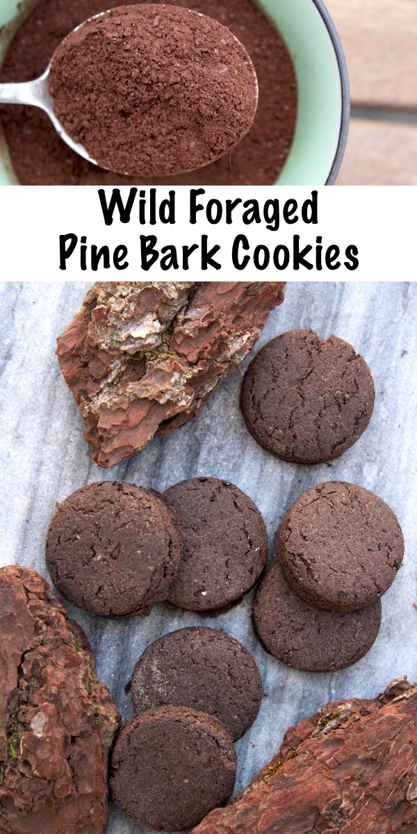 Wild Foraged Pine Bark Cookies (with a Side of Hope...) #cookies #recipe #pine #bark #foraged #foraging #edible 