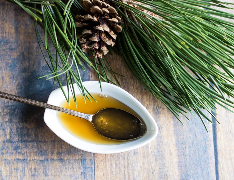 Pine Needle Cough Syrup from Grow Forage Cook Ferment