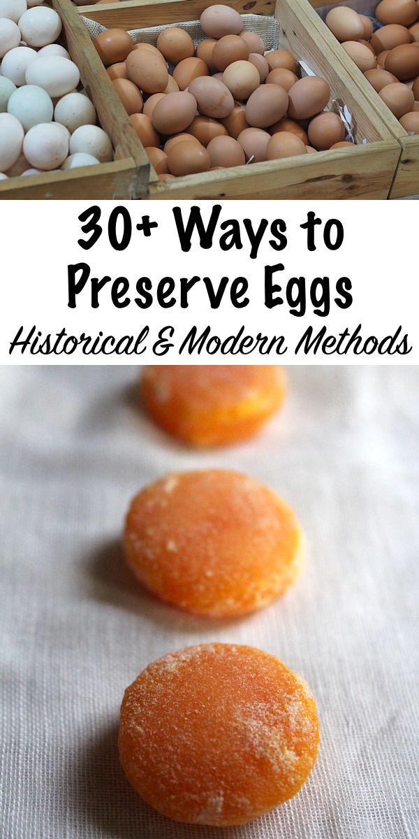 30+ Ways to Preserve Eggs ~ Historical and Modern Methods ~ Ways to Use Eggs ~ Historical Food Preservation #preserving #homesteading #recipes #homestead #backyardchickens #eggs #chickens #foodpreservation #selfsufficiency #prepper #shtf 