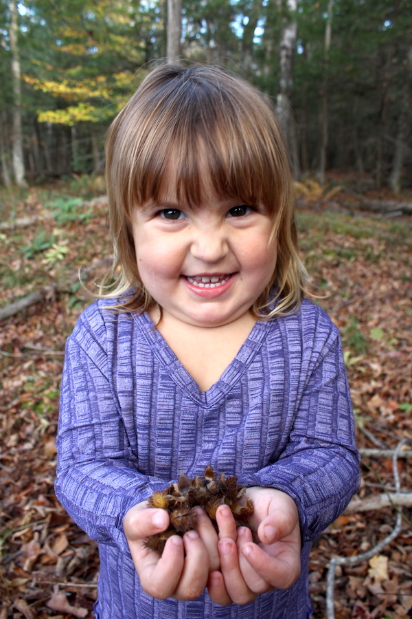 Baby with Beechnuts