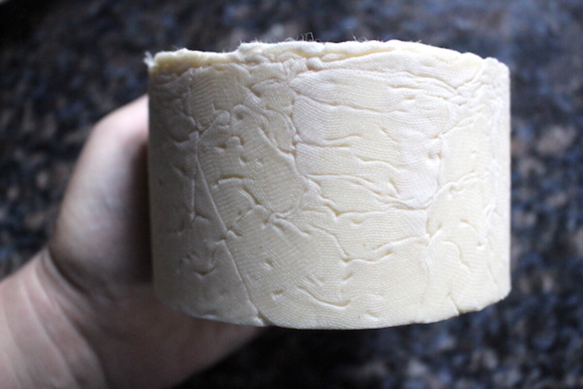 The farmhouse cheddar comes out of the cheese press easily after the first 12 hours in the press. Here it is as I removed it to flip.