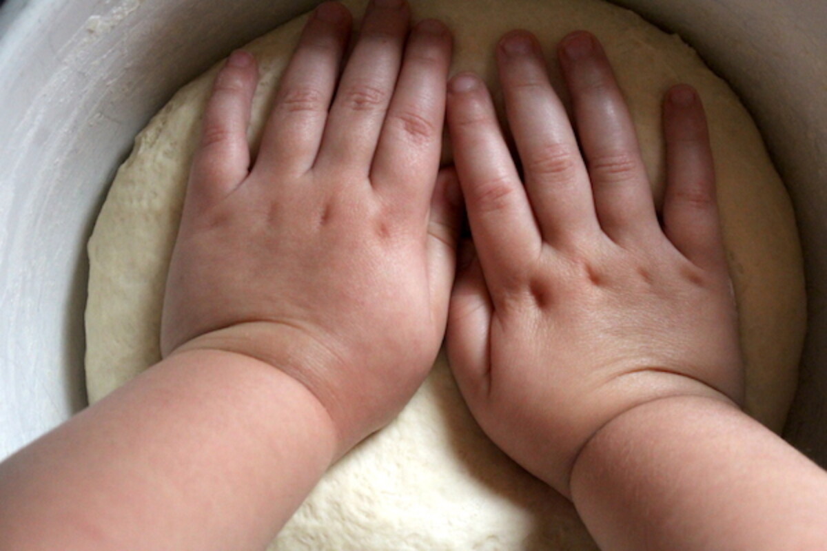 Child Kneading Amish White Bread