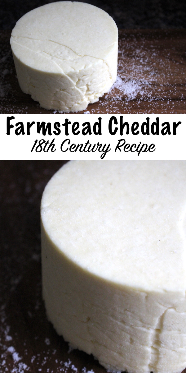 Homemade Farmstead Cheddar from an 18th Century Recipe ~ This historical cheesemaking recipe is simple to make at home with minimal equipment. #cheese #recipe #cheesemaking #cheddar #athome #diy #dairy #homesteading