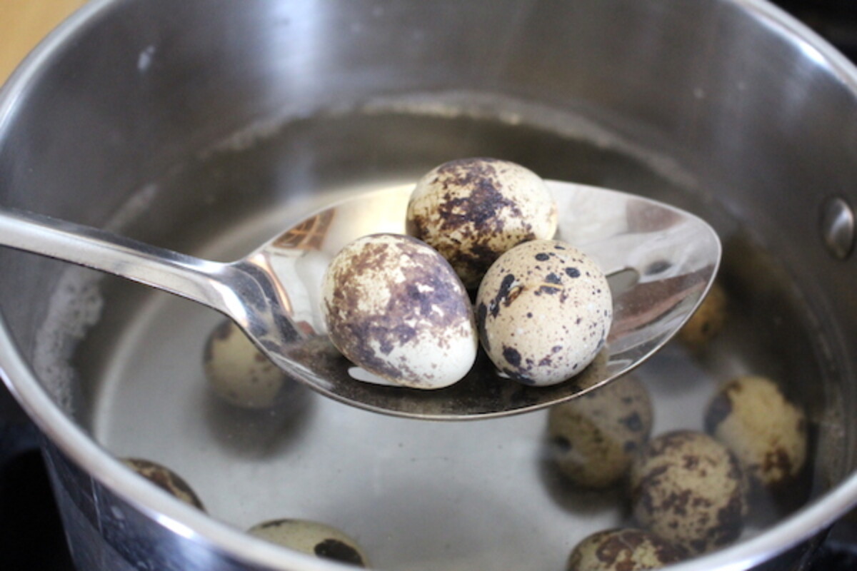 Hard Boiled Quail Eggs