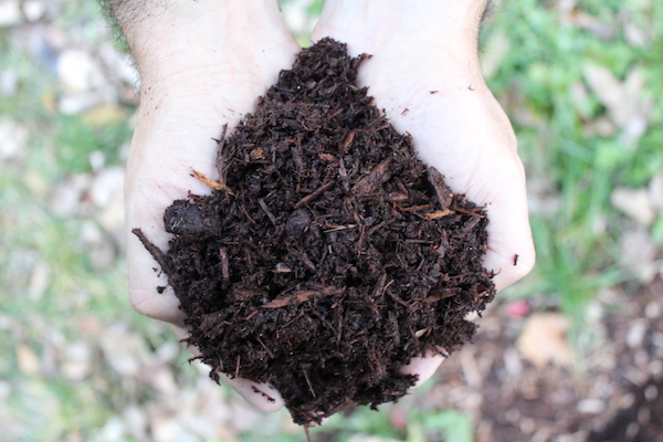 Homemade Bark Mulch