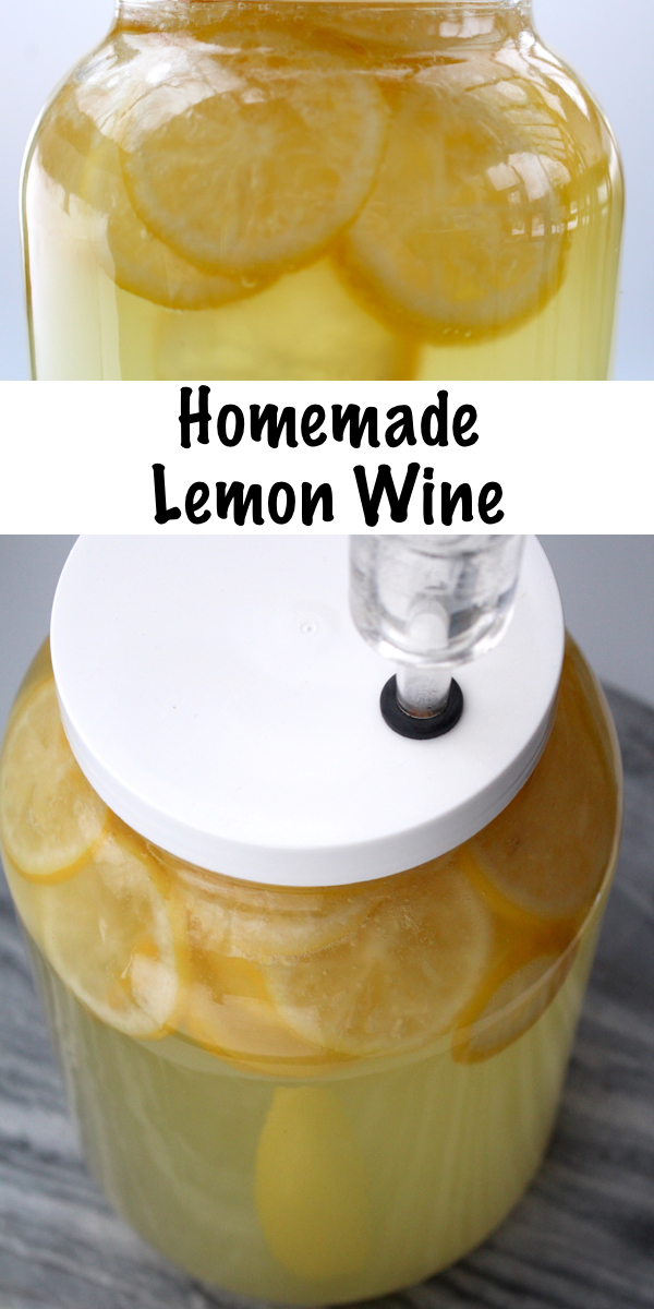 Homemade Lemon Wine Recipe for Home brewing. Lemon wine tastes like sipping summertime and it's really easy to make at home with just a few simple ingredients. #wine #recipe #beverages #homemade #lemon #fermented #fermenteddrink