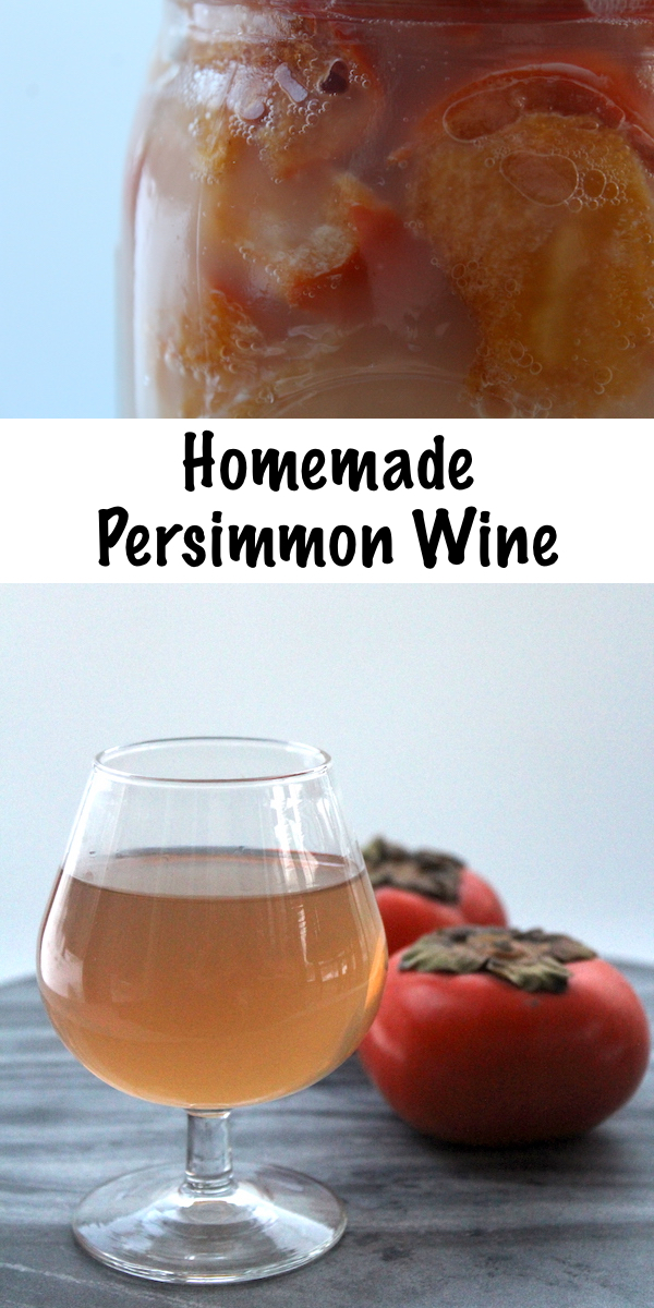 Homemade Persimmon Wine ~ Easy small batch home winemaking ~ A simple winemaking recipe using persimmons, substitute honey for sugar for persimmon mead. Add warm spices like cinnamon for a tasty spiced persimmon wine. #persimmon #recipe #uses #homemade #wine #homebrew #winemaking #fermented
