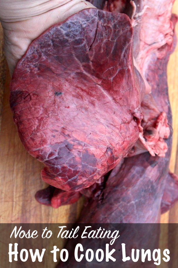 How to Cook Lungs for Nose to Tail Eating ~ How to prepare offal cuts for the best flavor, even animal lungs. #offal #recipe #nosetotail #wholebeast #lungs #selfsufficiency #homesteading