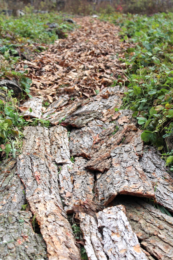 Laying Bark Sheet Mulch