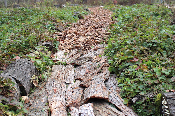 Laying Bark Sheet Mulch