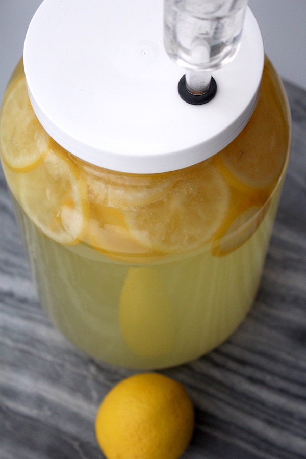 Homemade lemon wine bubbling away in a wide mouth carboy