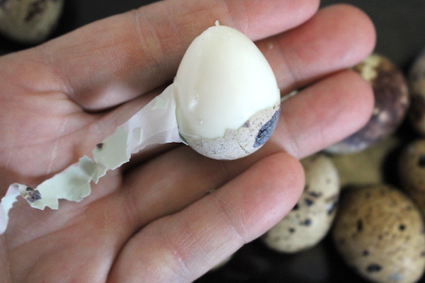 How to peel quail eggs