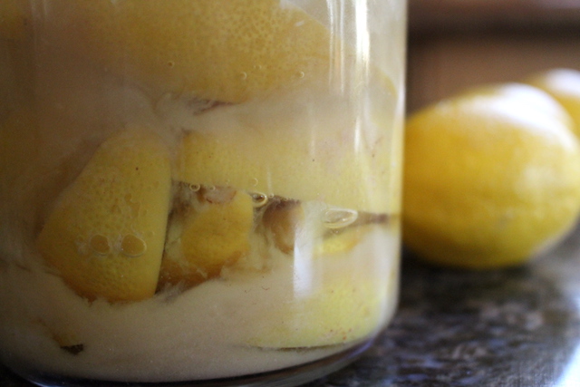 Bubbles in Preserved Lemons