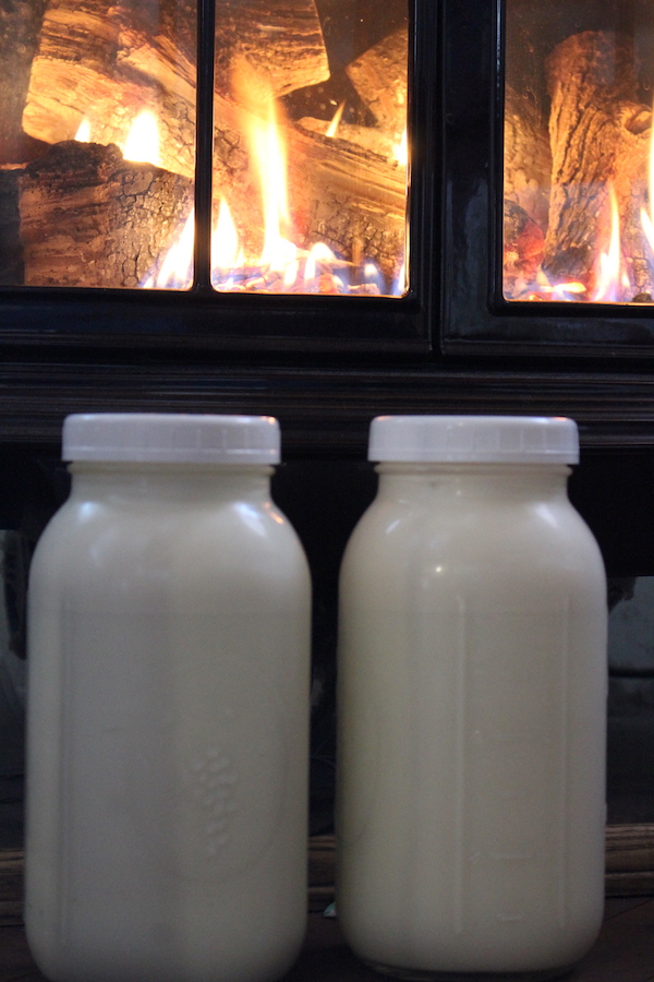 Warming raw milk to begin culturing farmstead cheddar