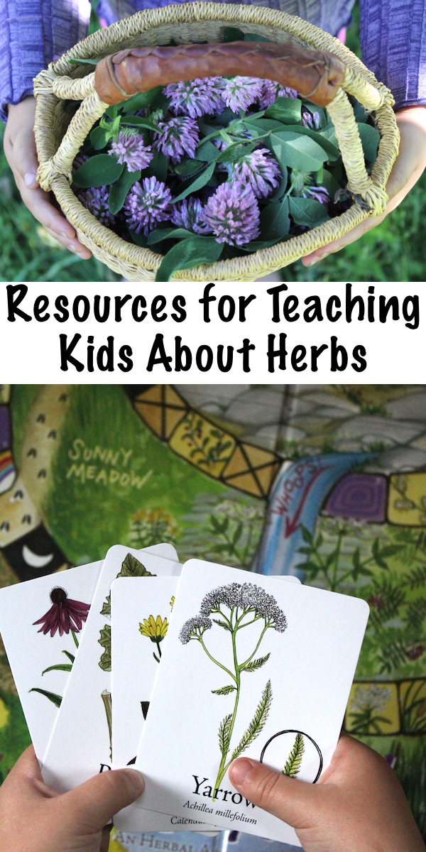 Resources for Teaching Kids About Herbs ~ Teaching Herbalism to Children ~ Resources and Tools for a Child's Herbal Education #herbs #herbalist #herbalmedicine #homeschool #homeschooling #outdoors #nature #natureeducation