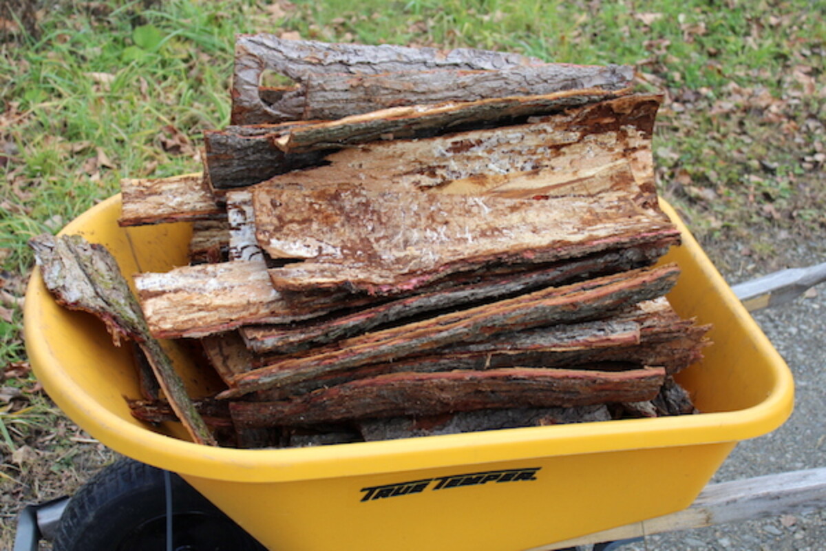 Using Bark Sheet Mulch