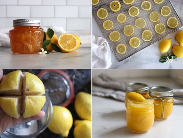 Ways to Preserve Lemons