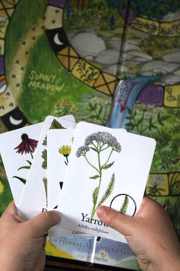 Wildcraft Board Game Herbal Teaching Tool