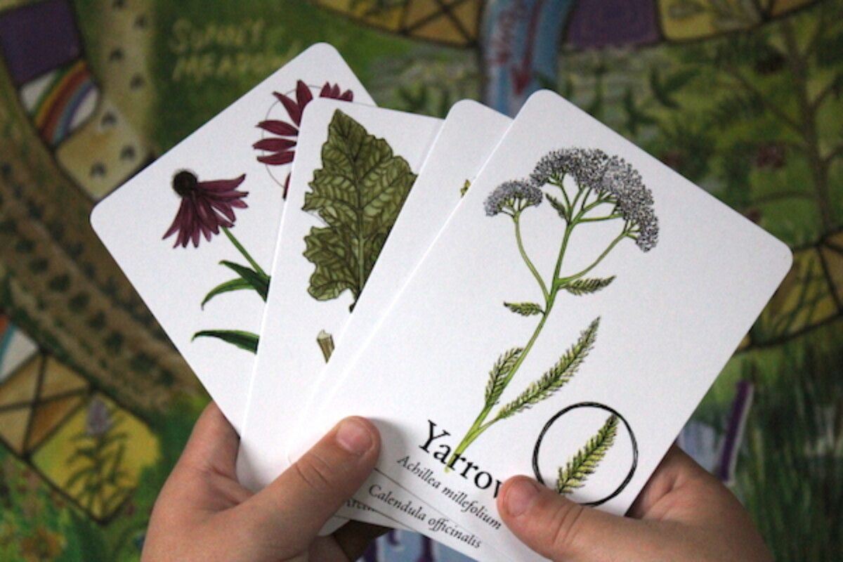 Wildcraft Board Game Herbal Teaching Tool