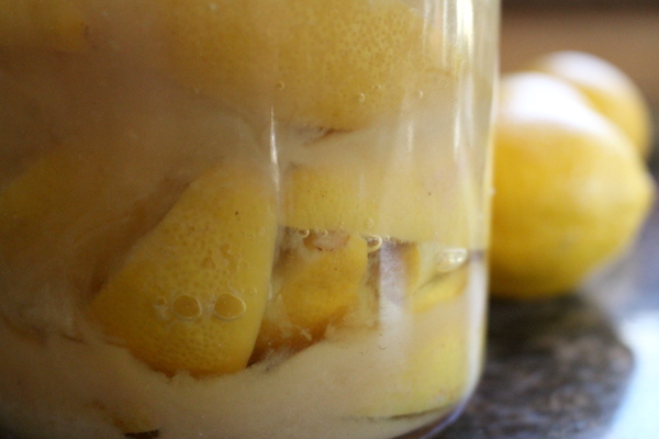 bubbling preserved lemons with live active cultures (probiotics)