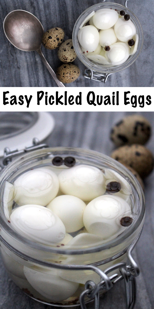 easy pickled quail eggs recipe ~ How to hard boil quail eggs, plus the easiest way to peel quail eggs ~ Easy homemade recipes for pickled quail eggs #quail #recipes #eggs #pickles #pickledegg #foodpreservation #homesteading