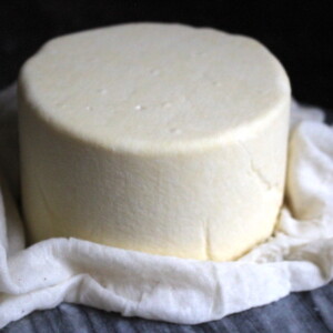 Homemade Colby Cheese Recipe
