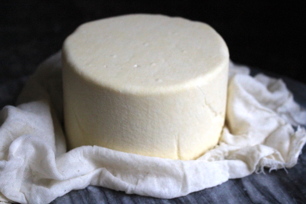 Homemade Colby Cheese Recipe