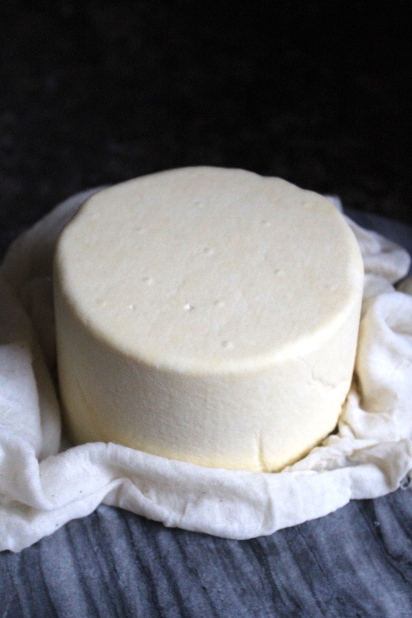 How to Make Colby Cheese at Home ~ Easy Home Cheesemaking