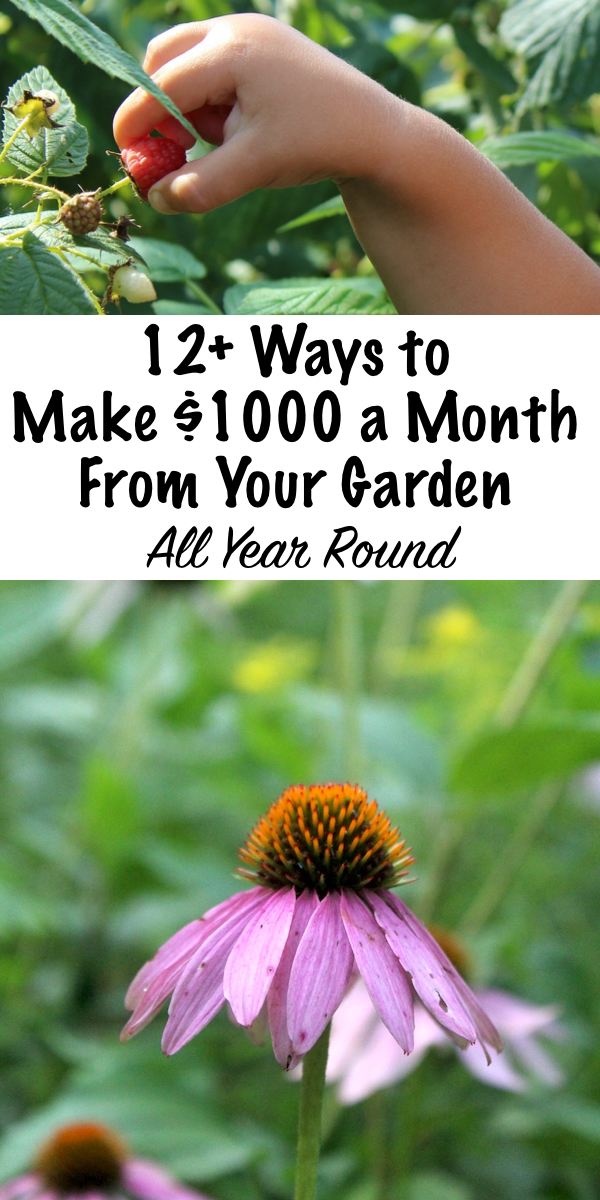 12+ Ways to Make an Extra $1000 a Month From Your Garden ~ Year Round! ~ A home garden is a great opportunity to earn a extra income from something you already love all year round. #workfromhome #garden #marketgarden #organicgarden #smallfarm #selfemployed 