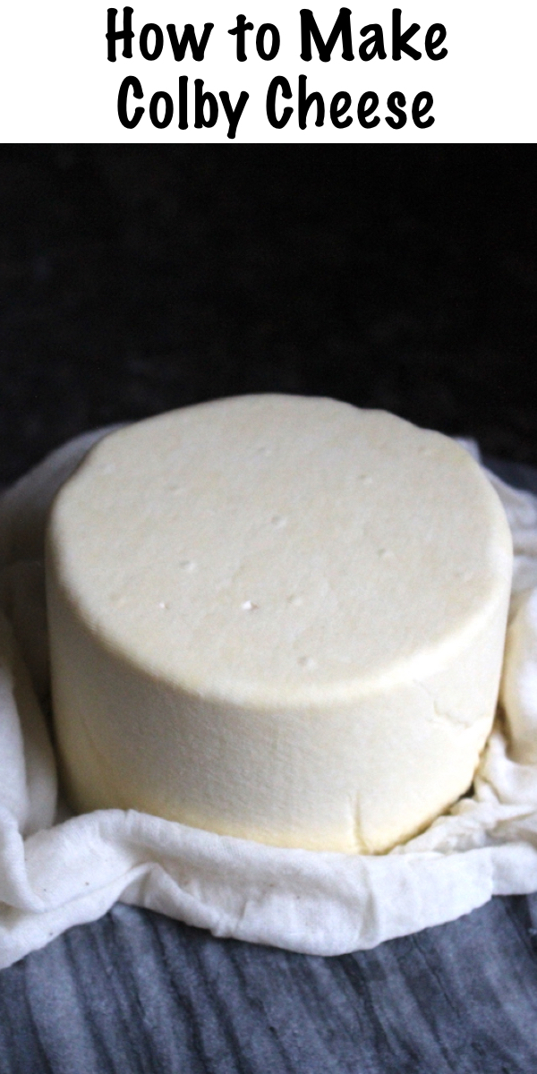 How to Make Colby Cheese ~ Easy Beginner Hard Cheese recipe for homemade colby cheddar. #cheese #recipe #homemade #diy #colby #hardcheese