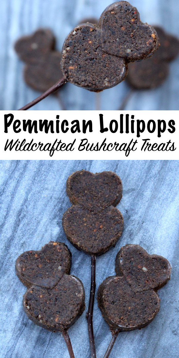 Wildcrafted Pemmican Lollipops ~ Real paleo treats! Pemmican is a traditional survival food made from dried meat and suet, but it can be crafted into a classy meat lollipop for your bushcraft sweetheart. #pemmican #recipe #hiking #trail #food #shtf #survivalist #prepper #homesteading #foodpreservation