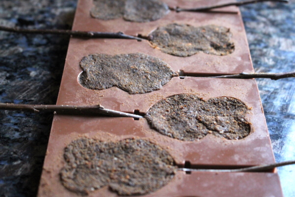 Pemmican Lollipops Shapes