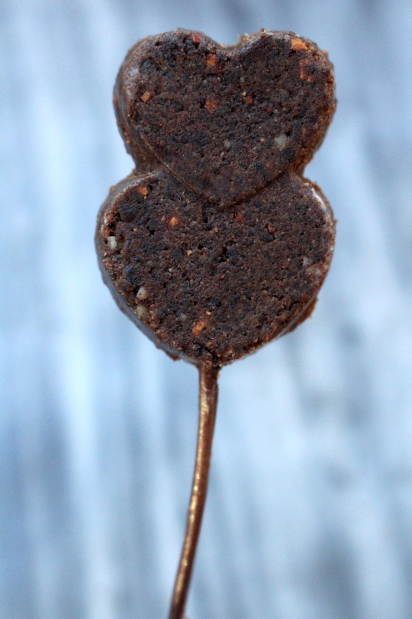 Pemmican Lollipops ~ Wild Foraged Bushcraft Treats