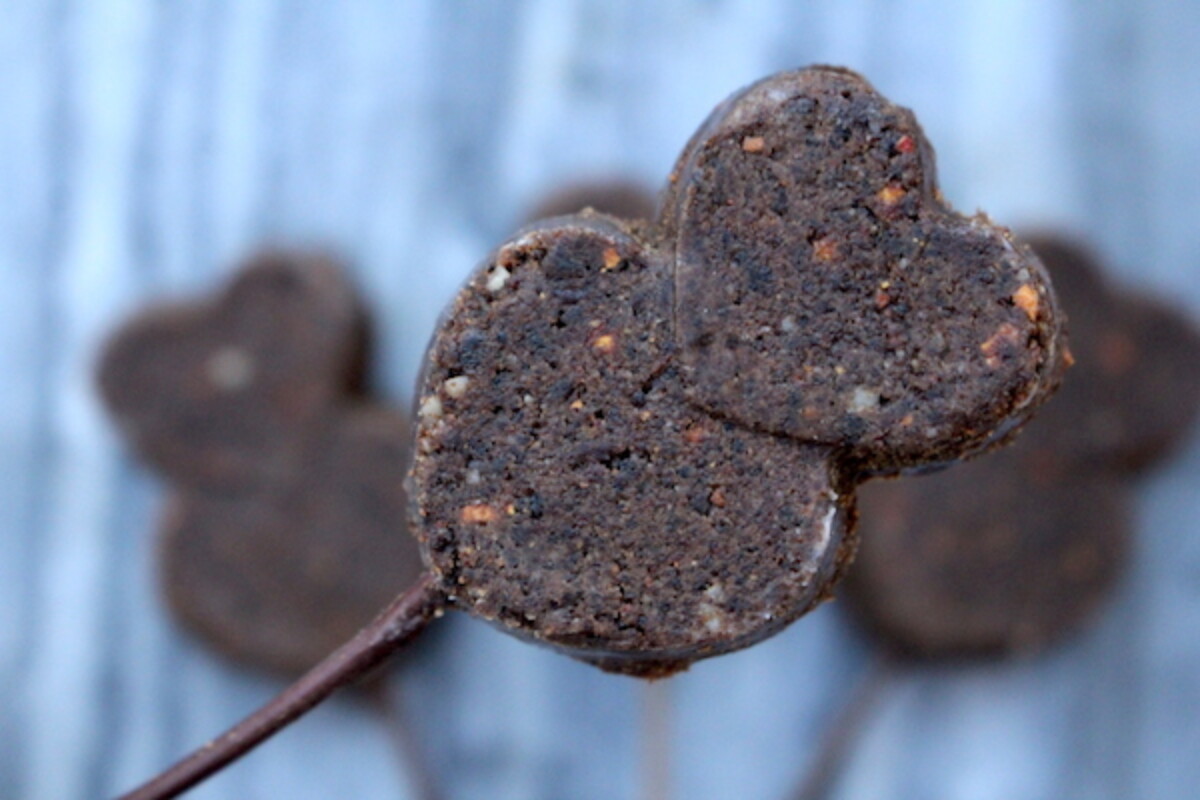 Pemmican lollipop (Meat Lollipops)
