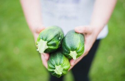 holding garden produce